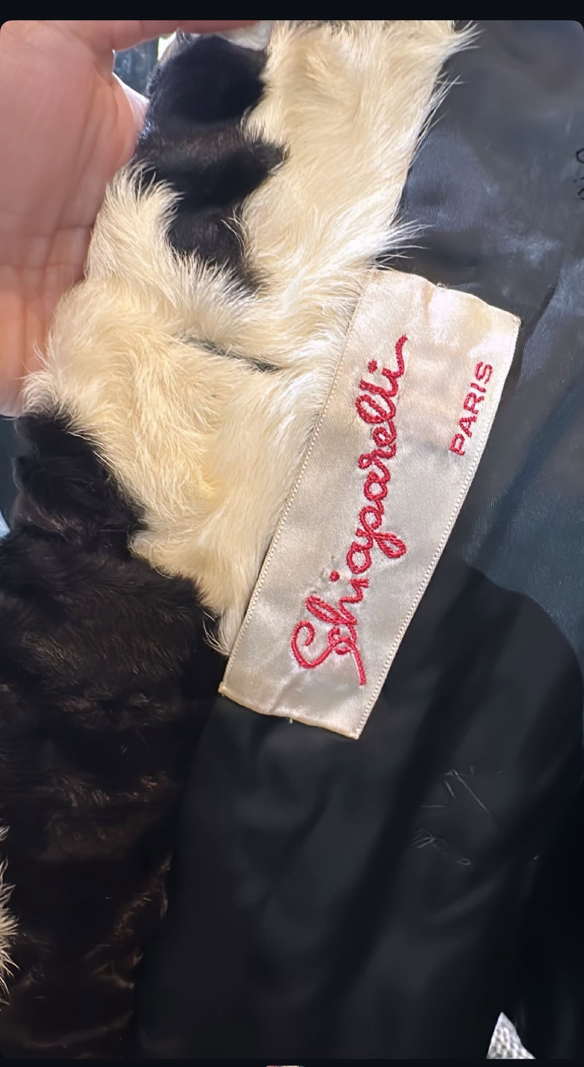 Vintage Schiaparelli fur coat